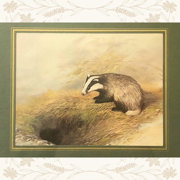 Vintage Mike Nance Wildlife Badger Print - Picture 2 of 4